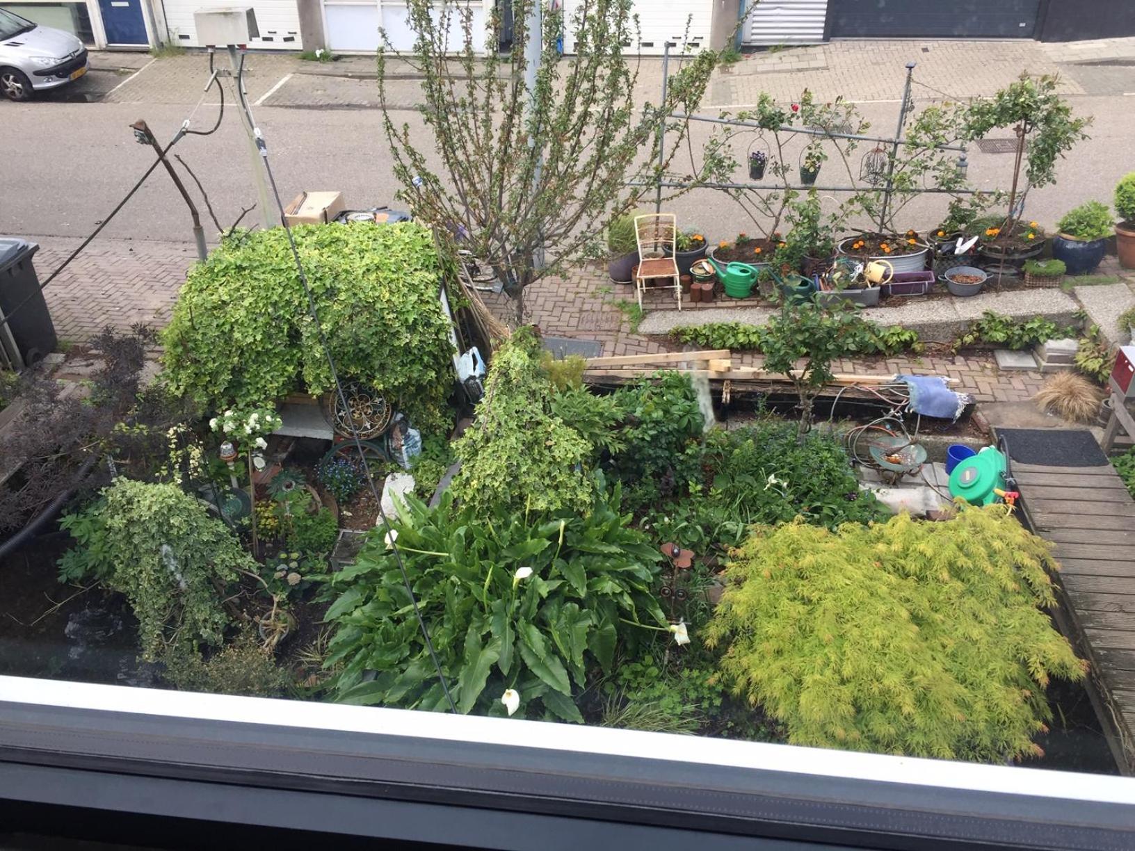 阿姆斯特丹Reiwa住宿加早餐旅馆 外观 照片
